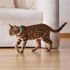 Sakerplus® Automatic Cat Laser Collar Toy