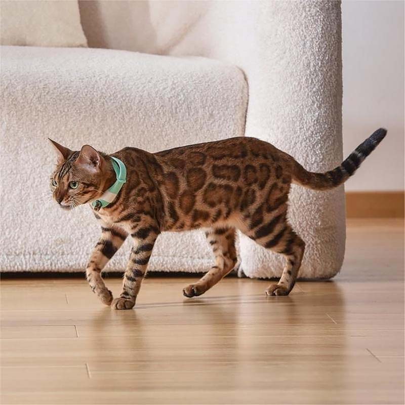 Sakerplus® Automatic Cat Laser Collar Toy