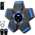 Sakerplus® Fitness Boxing Training Machine