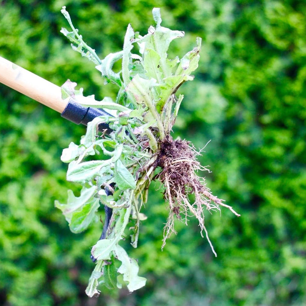 Sakerplus Weeder Tool
