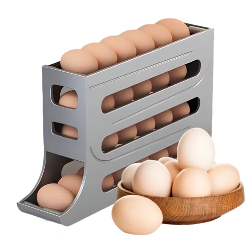 Saker Refrigerator Egg Storage Box