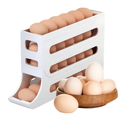 Saker Refrigerator Egg Storage Box