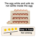 Saker Refrigerator Egg Storage Box