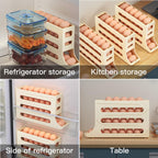 Saker Refrigerator Egg Storage Box